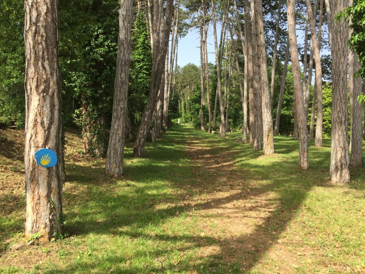 Les Hauts De Fixin, 50M2 Avec Exterieur Sur La Route Des Grands Crus, Dijon Sud Exteriér fotografie