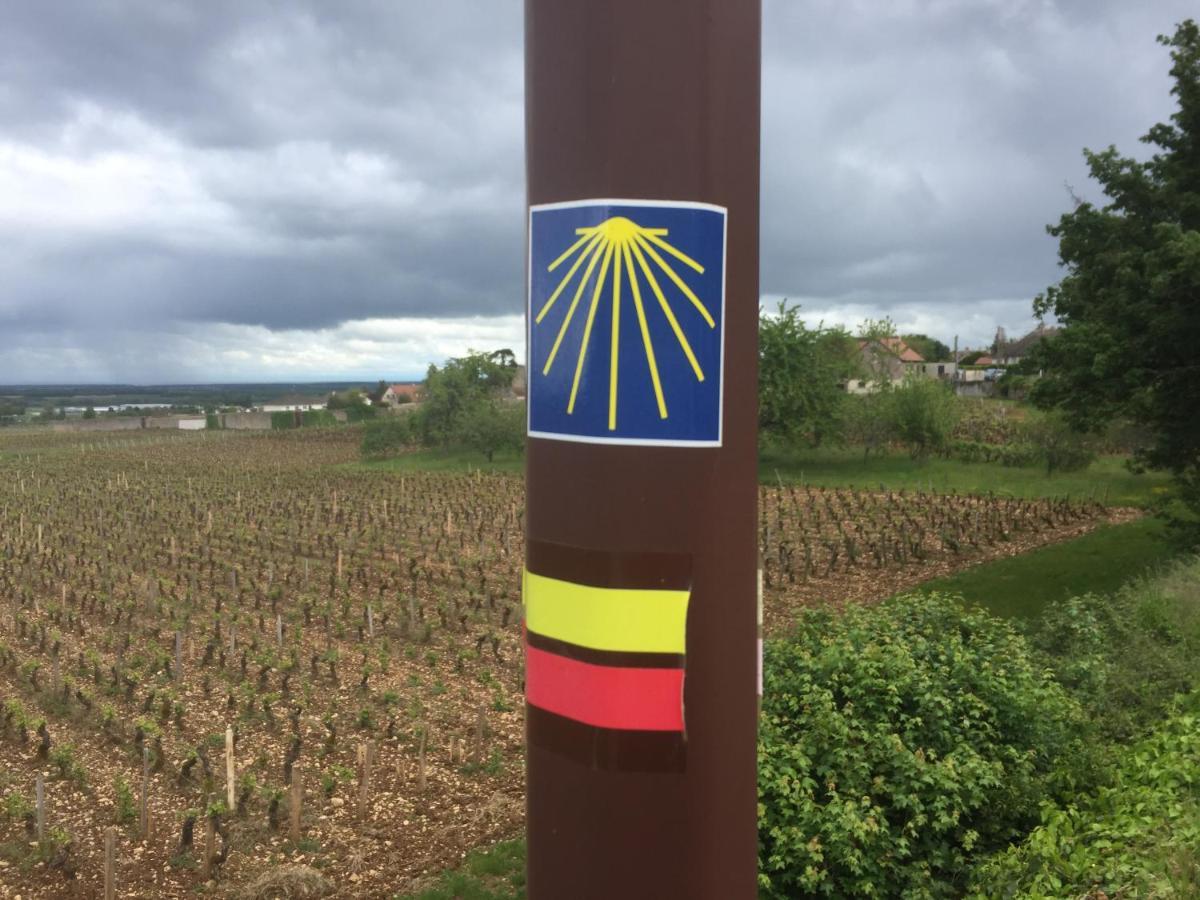 Les Hauts De Fixin, 50M2 Avec Exterieur Sur La Route Des Grands Crus, Dijon Sud Exteriér fotografie